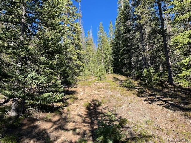 Lot 6525 Schlueter Road San Luis, CO 81152 - Photo 10 of 21