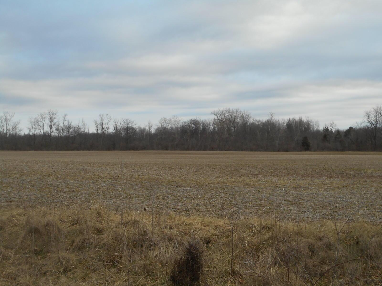 0 Brundage Road Waldo, OH 43356 - Photo 2 of 2