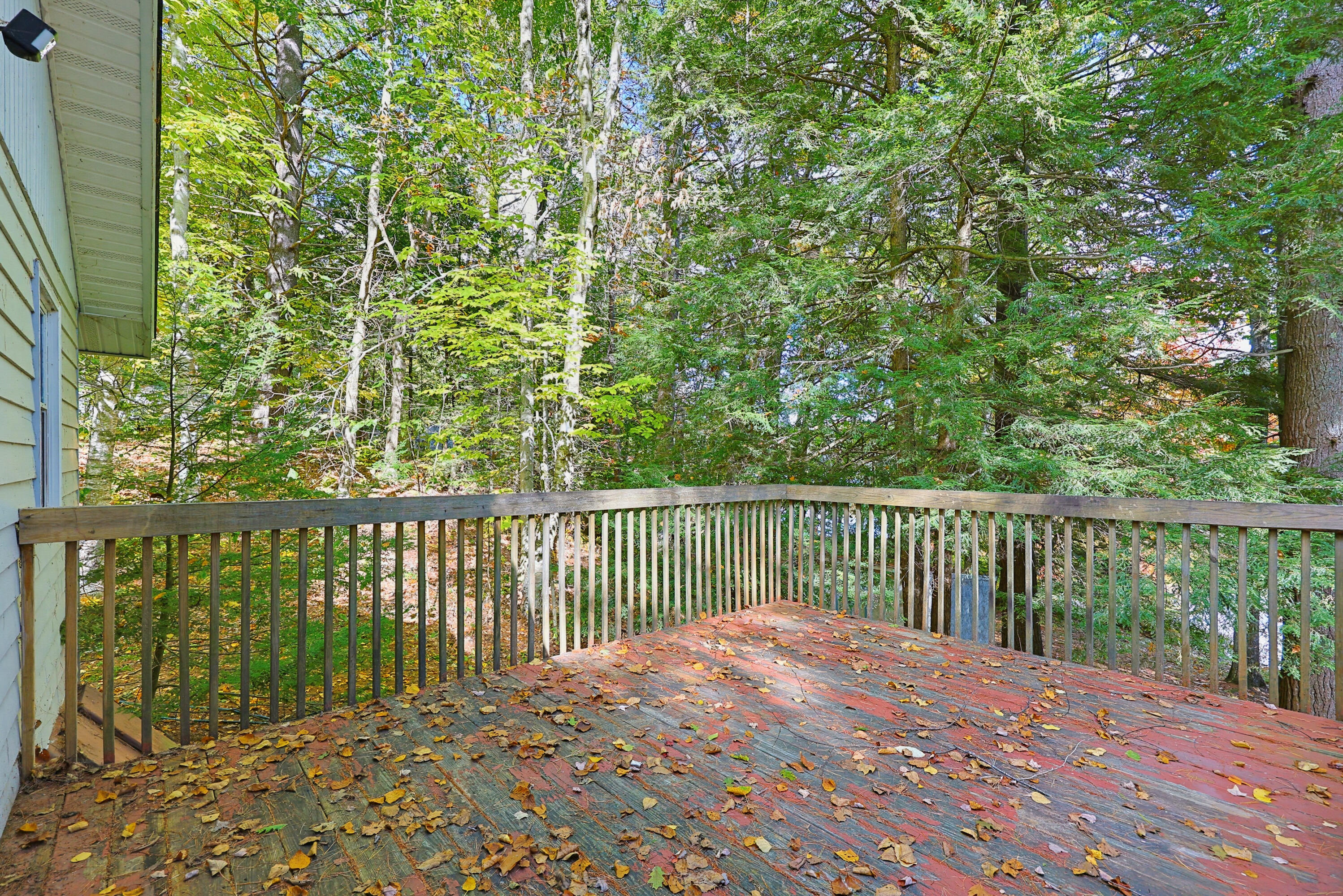 157 Buker Road Litchfield, ME 04350 - Photo 41 of 51 IMG_6552 (1)