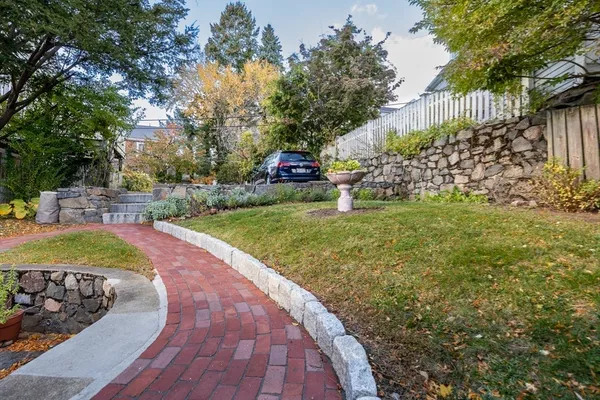 a view of a garden with plants and trees