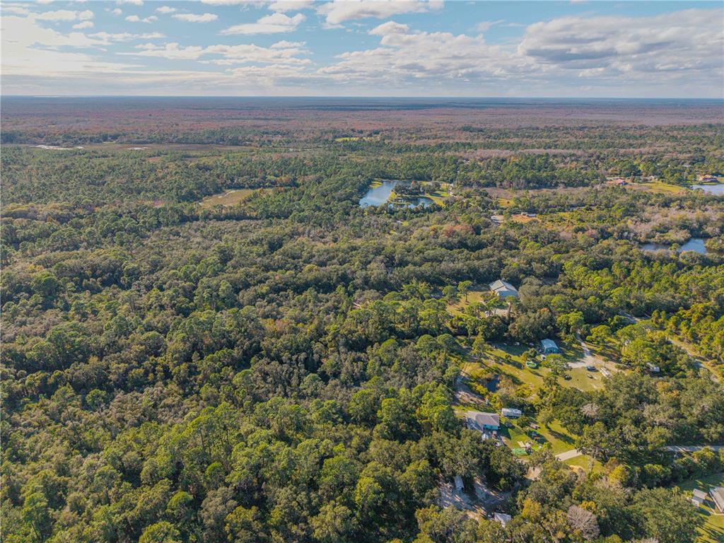 0 Clinton Cemetery Road Edgewater, FL 32141 - Photo 15 of 32
