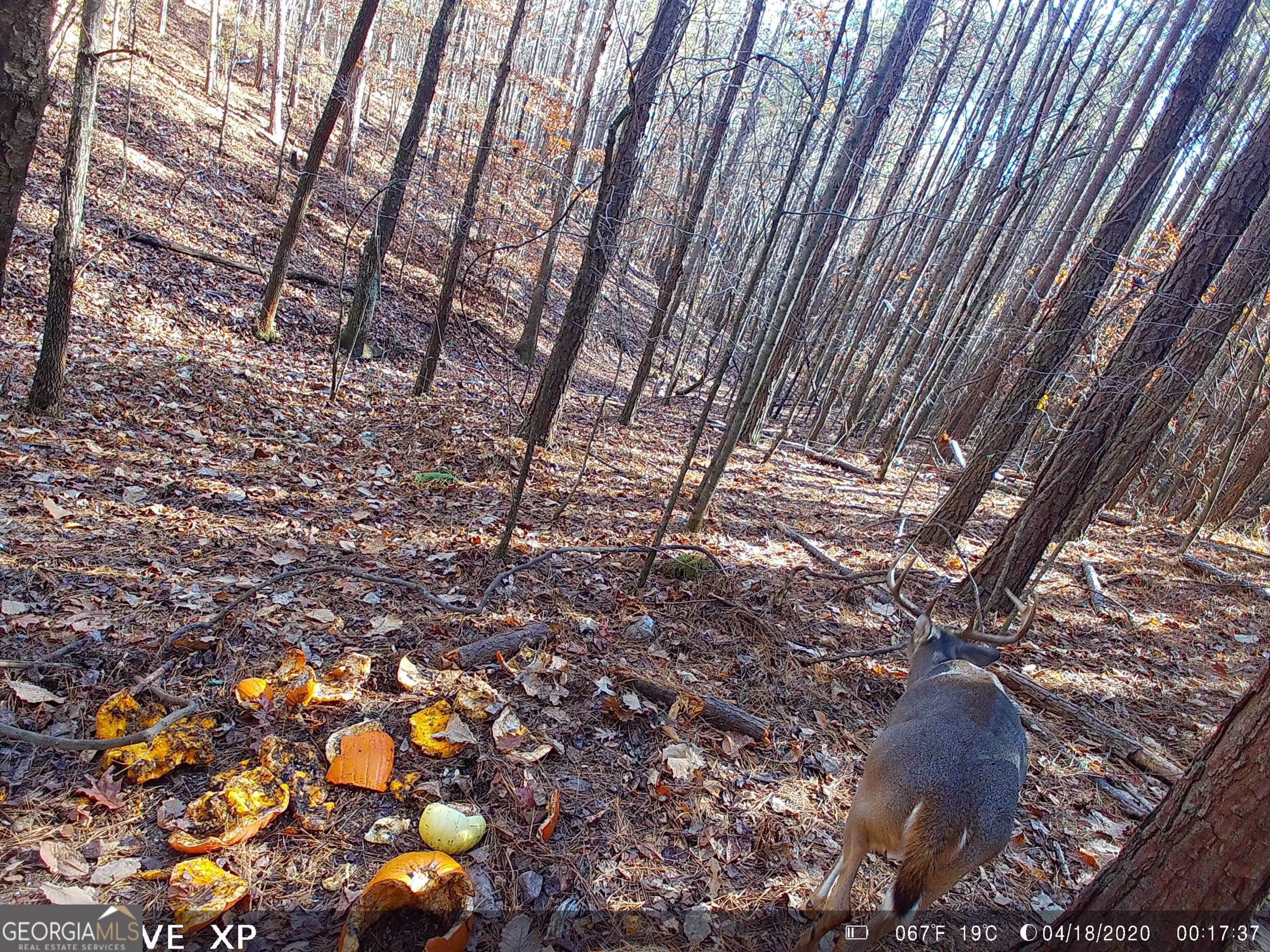 0 Husley Trail Canton, GA 30114 - Photo 3 of 5