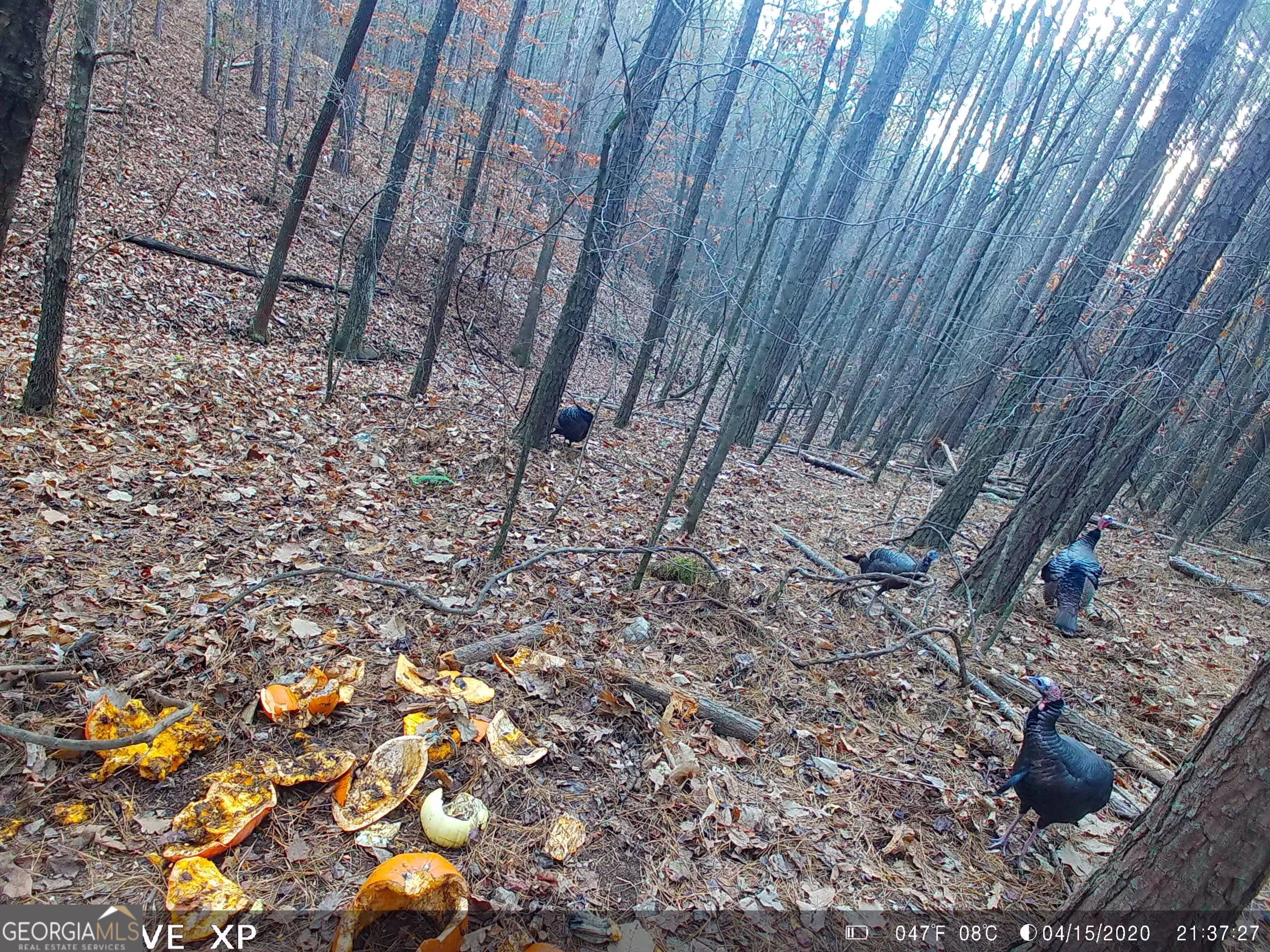 0 Husley Trail Canton, GA 30114 - Photo 4 of 5