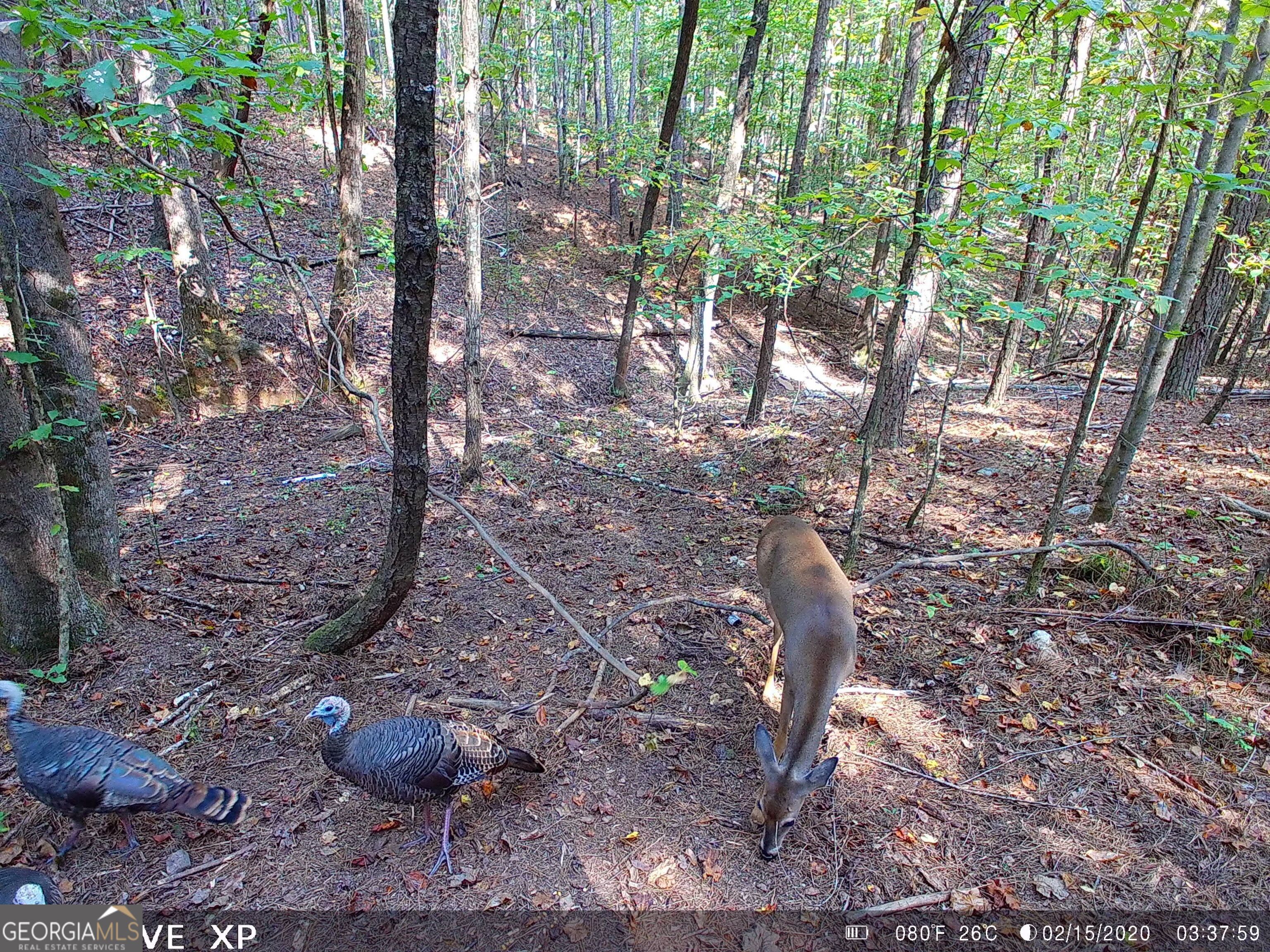 0 Husley Trail Canton, GA 30114 - Photo 5 of 5