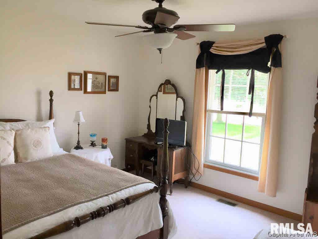 5309 Bunting Road Springfield, IL 62711 - Photo 14 of 22