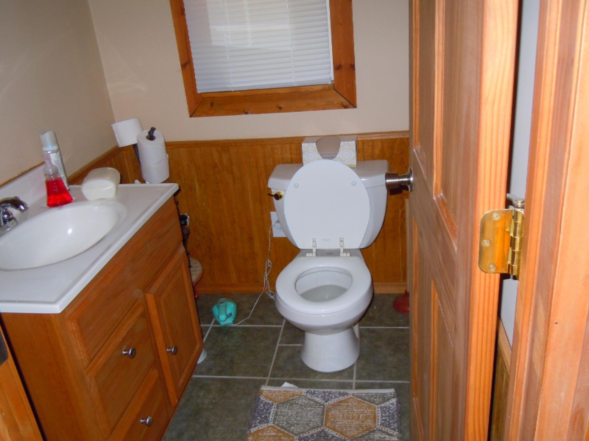 9663 South Rebecca Road Baldwin, MI 49304 - Photo 12 of 36 DSCN0979