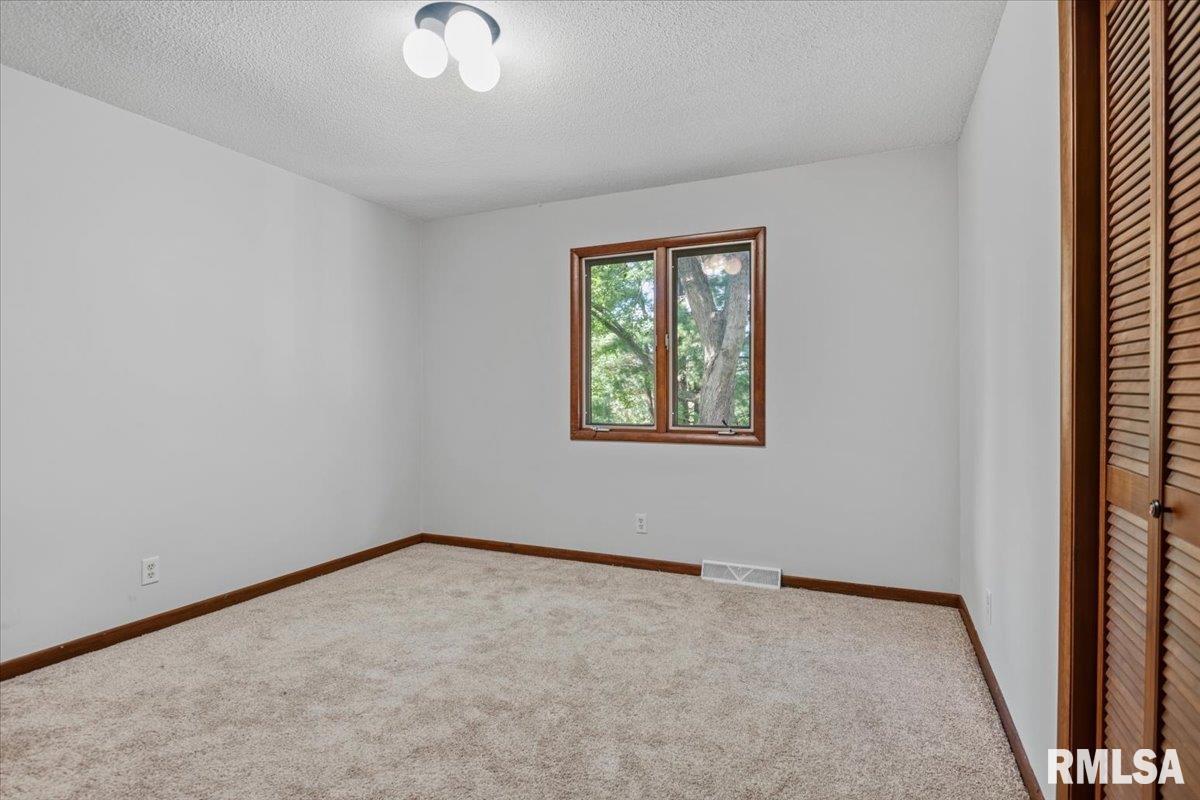 10086 Wics Road Dawson, IL 62520 - Photo 27 of 61 Gallery Image 27