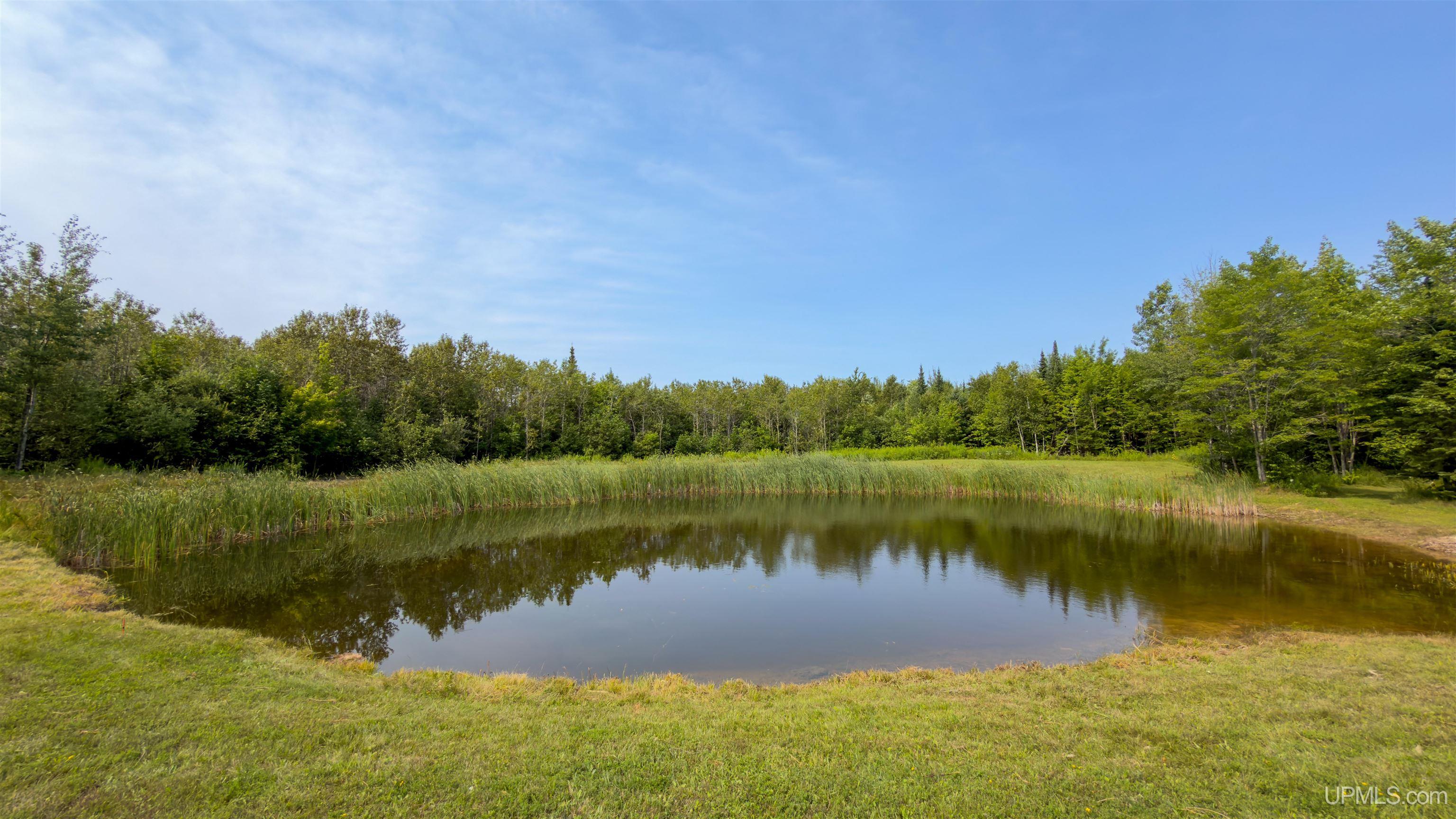 35-acres Town Line Road Gulliver, MI 49840 - Photo 2 of 23 Gallery Image 2