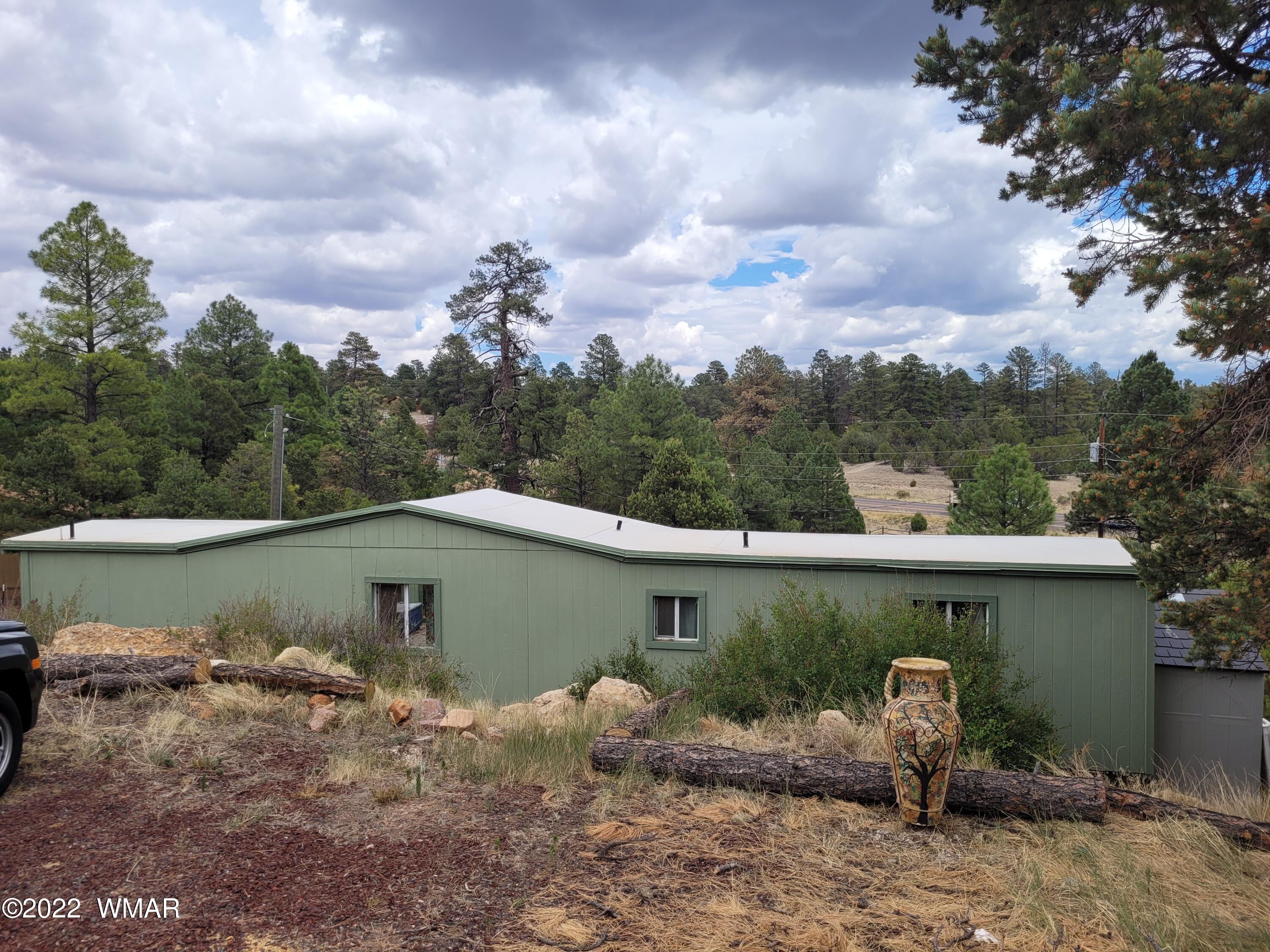 3443 Top View Road Overgaard, AZ 85933 - Photo 16 of 22