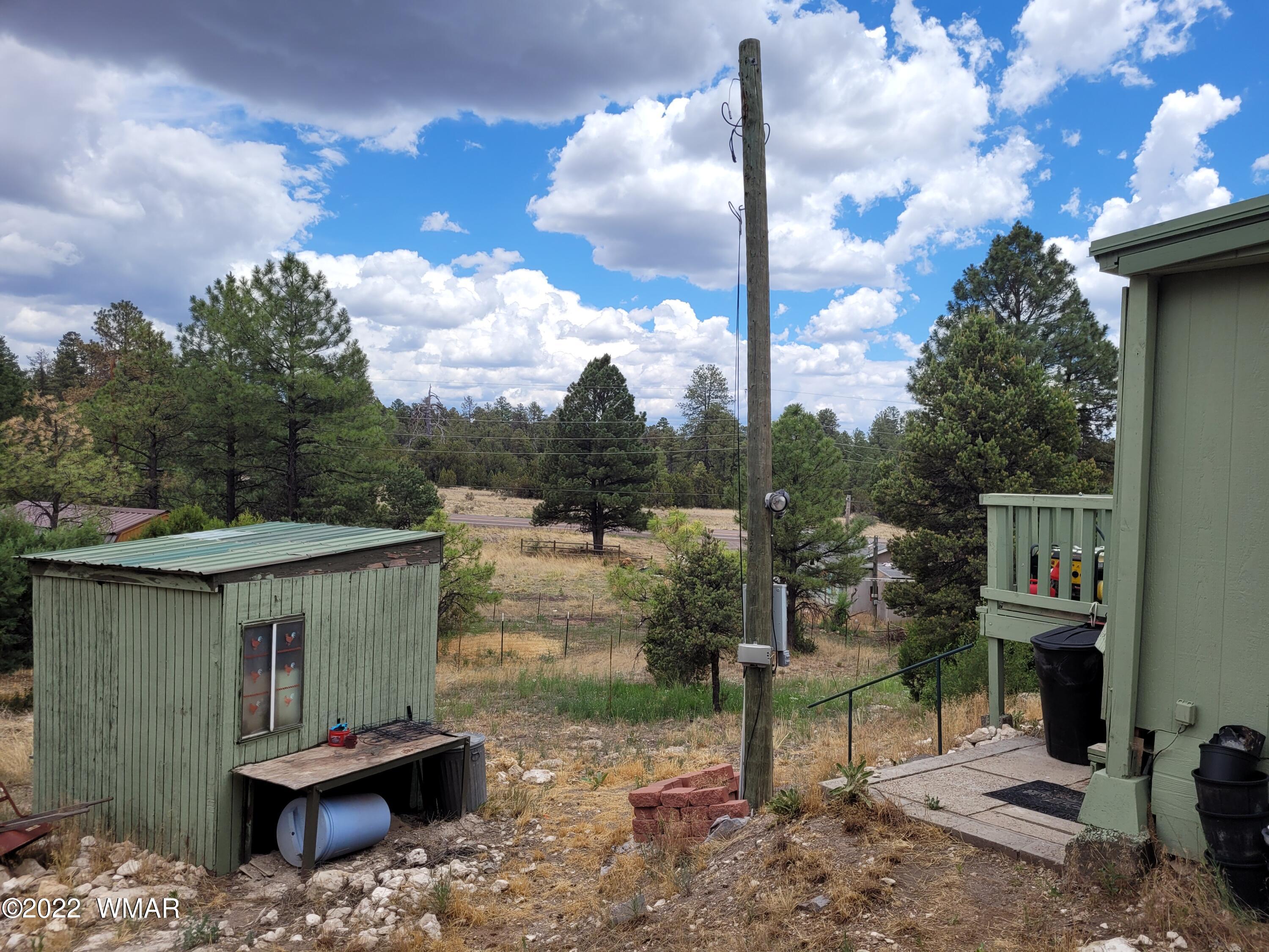 3443 Top View Road Overgaard, AZ 85933 - Photo 17 of 22