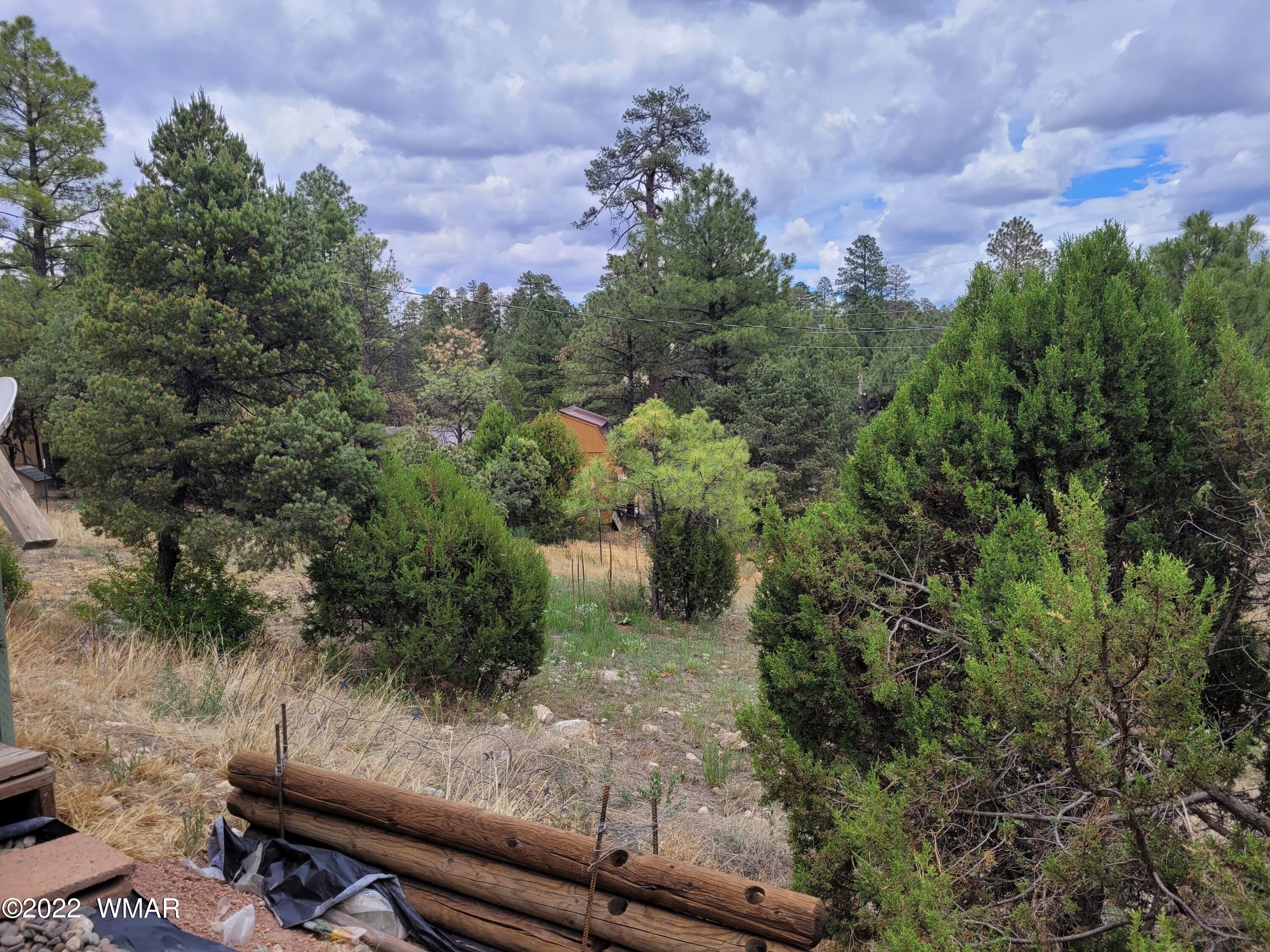 3443 Top View Road Overgaard, AZ 85933 - Photo 20 of 22