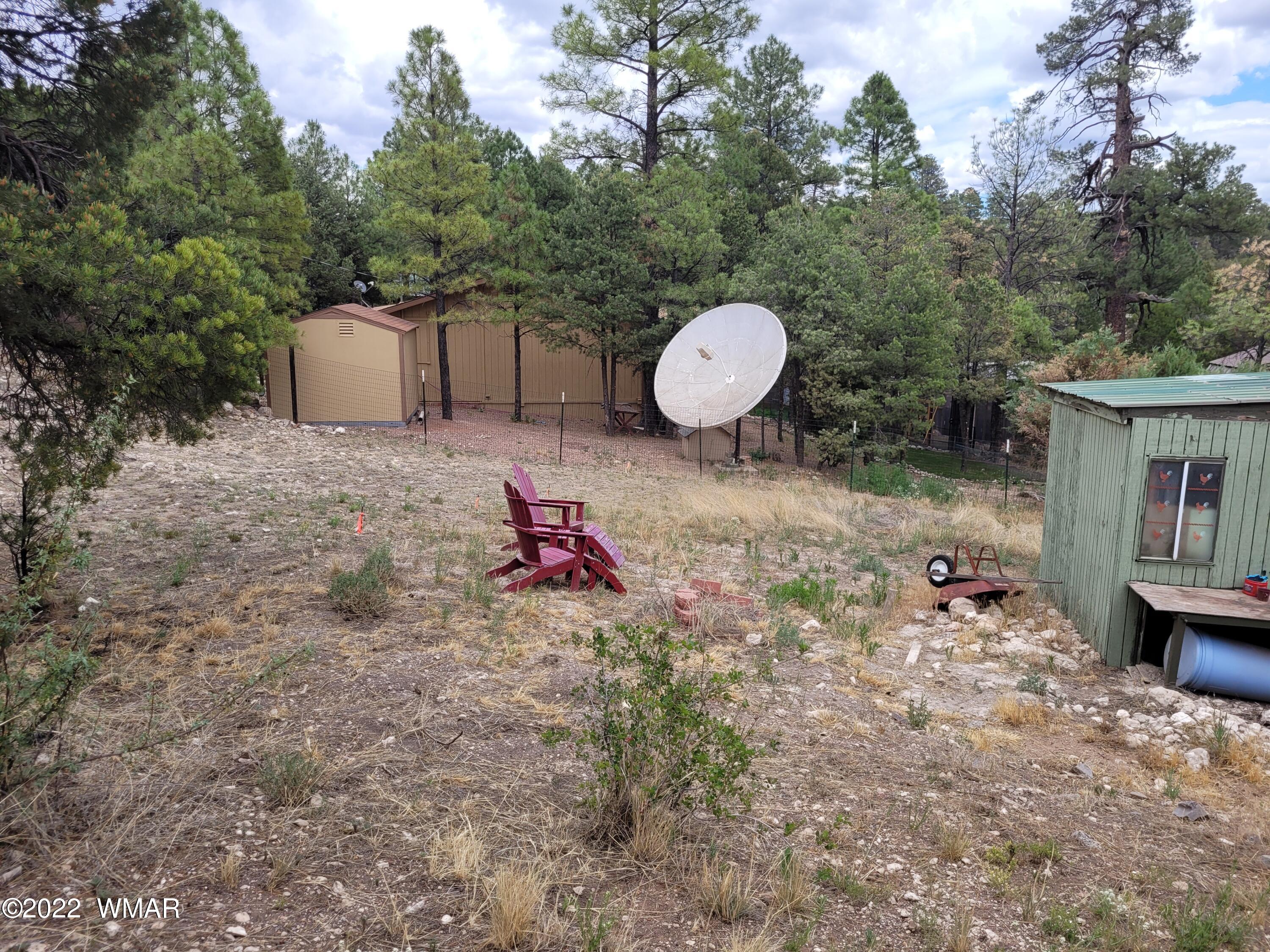 3443 Top View Road Overgaard, AZ 85933 - Photo 21 of 22