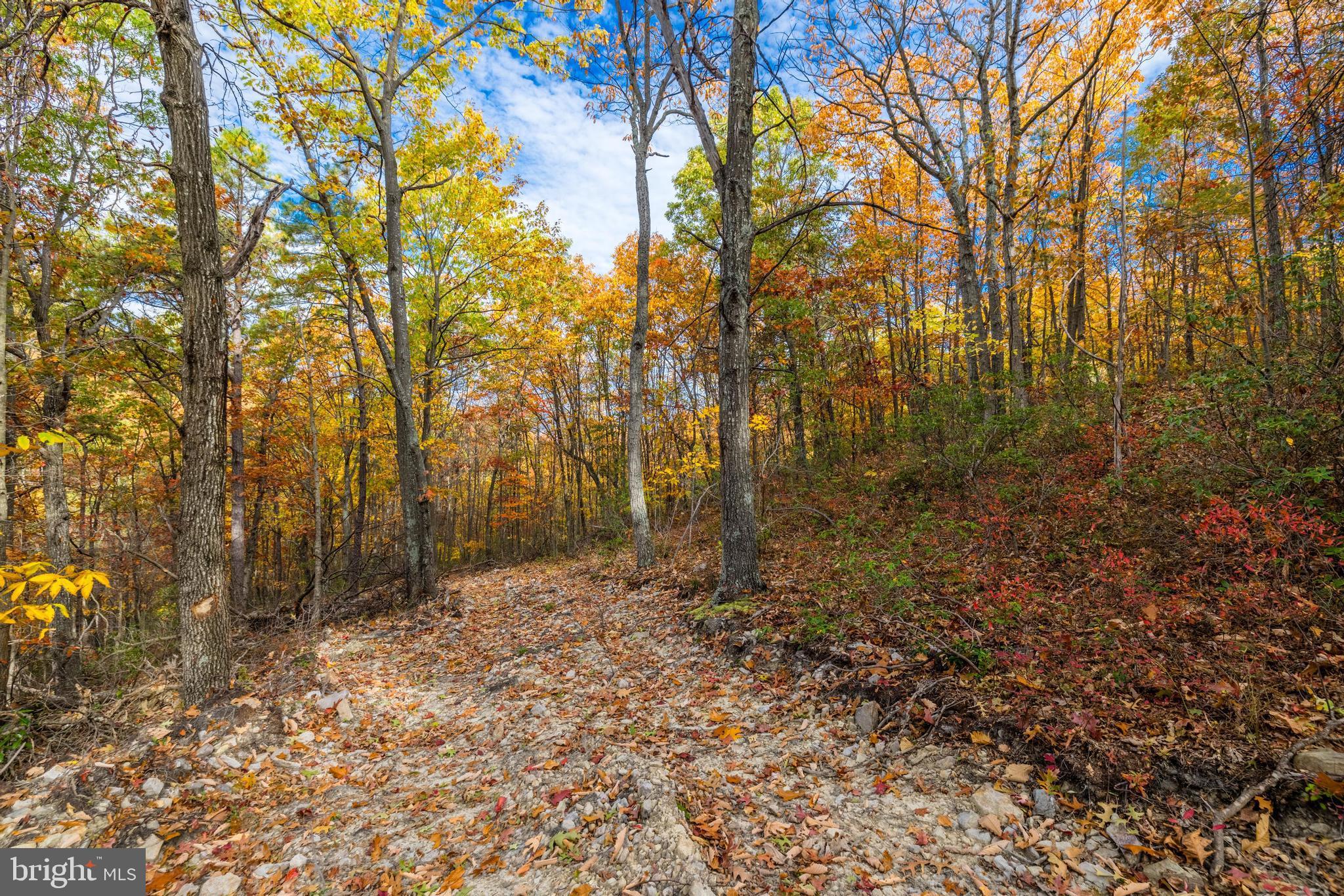 Lucas Hollow Road Stanley, VA 22851 - Photo 19 of 53