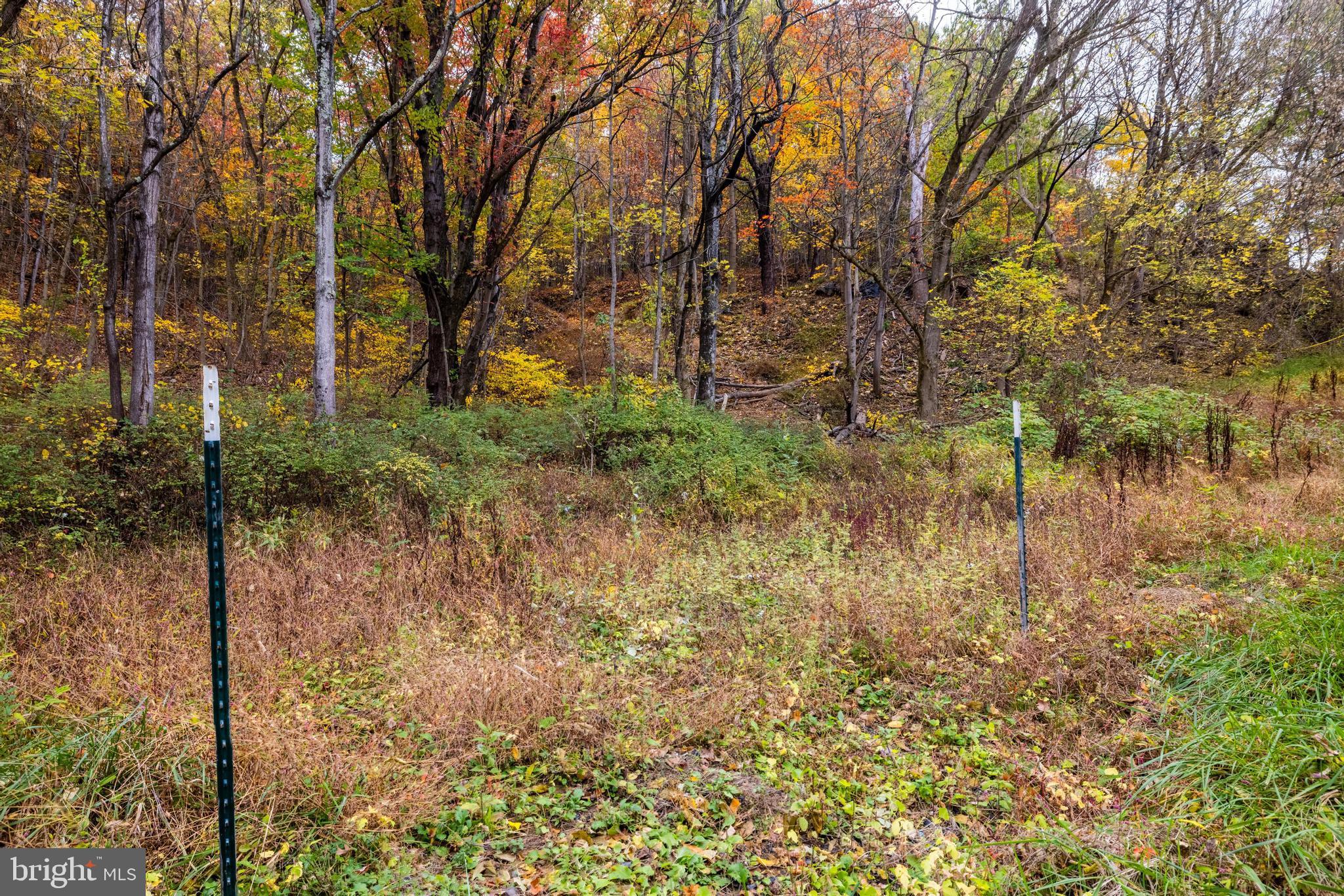 Lucas Hollow Road Stanley, VA 22851 - Photo 26 of 53 a view of a yard with trees in front of it