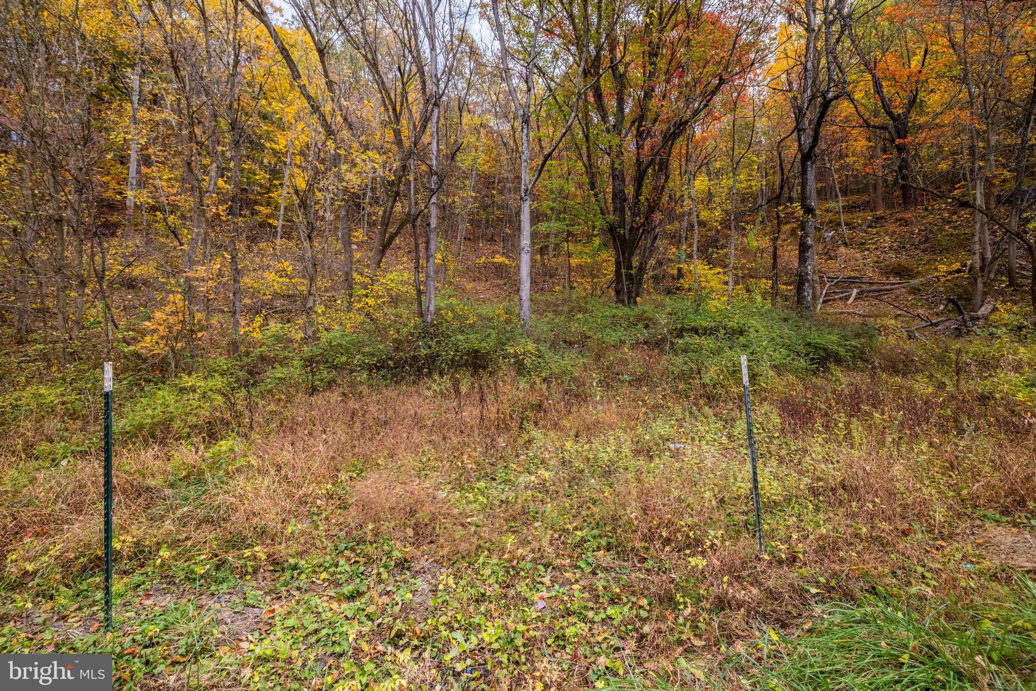 Lucas Hollow Road Stanley, VA 22851 - Photo 27 of 53 a backyard of a house with plants and large trees