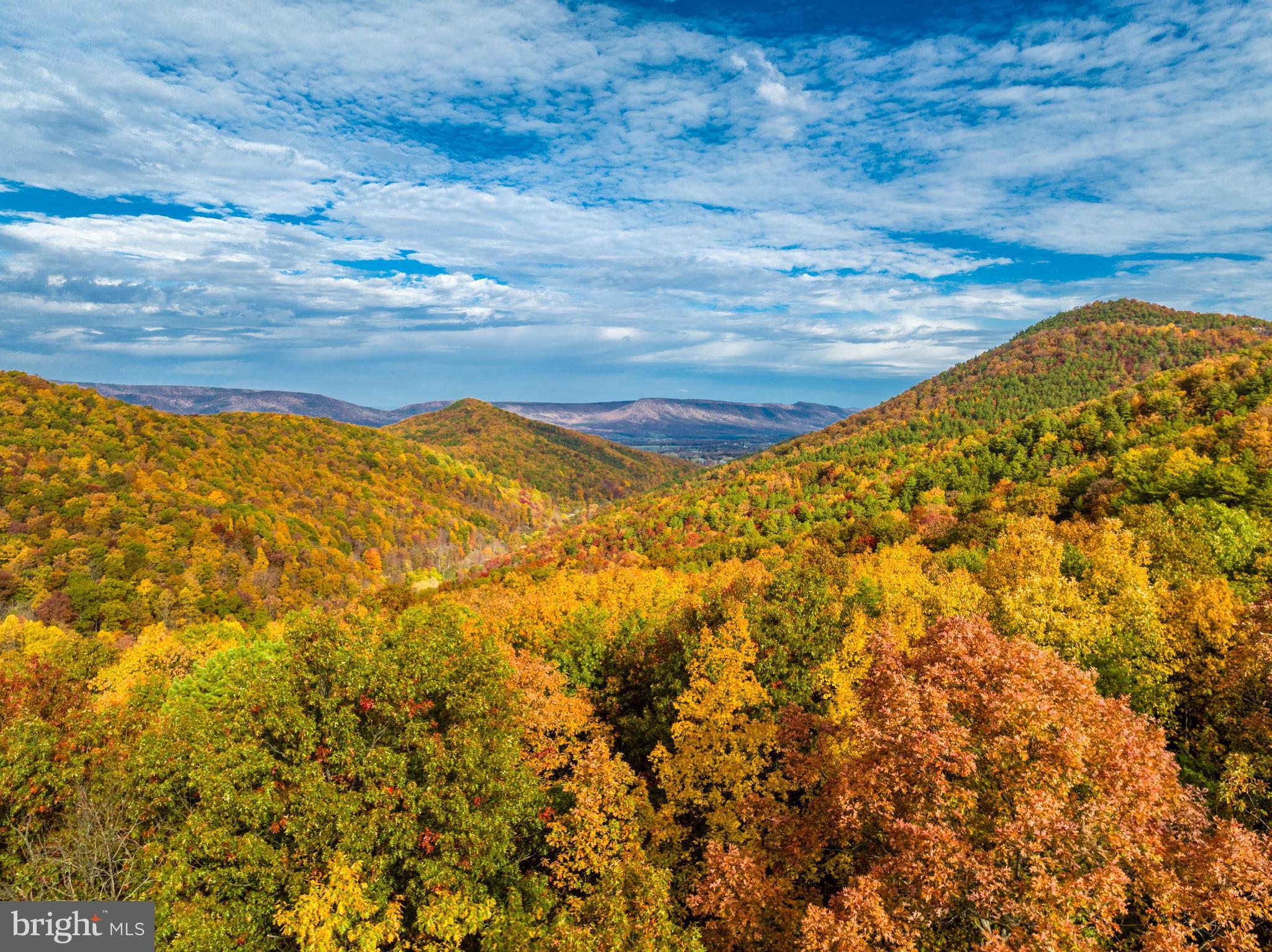 Lucas Hollow Road Stanley, VA 22851 - Photo 31 of 53 a view of mountain