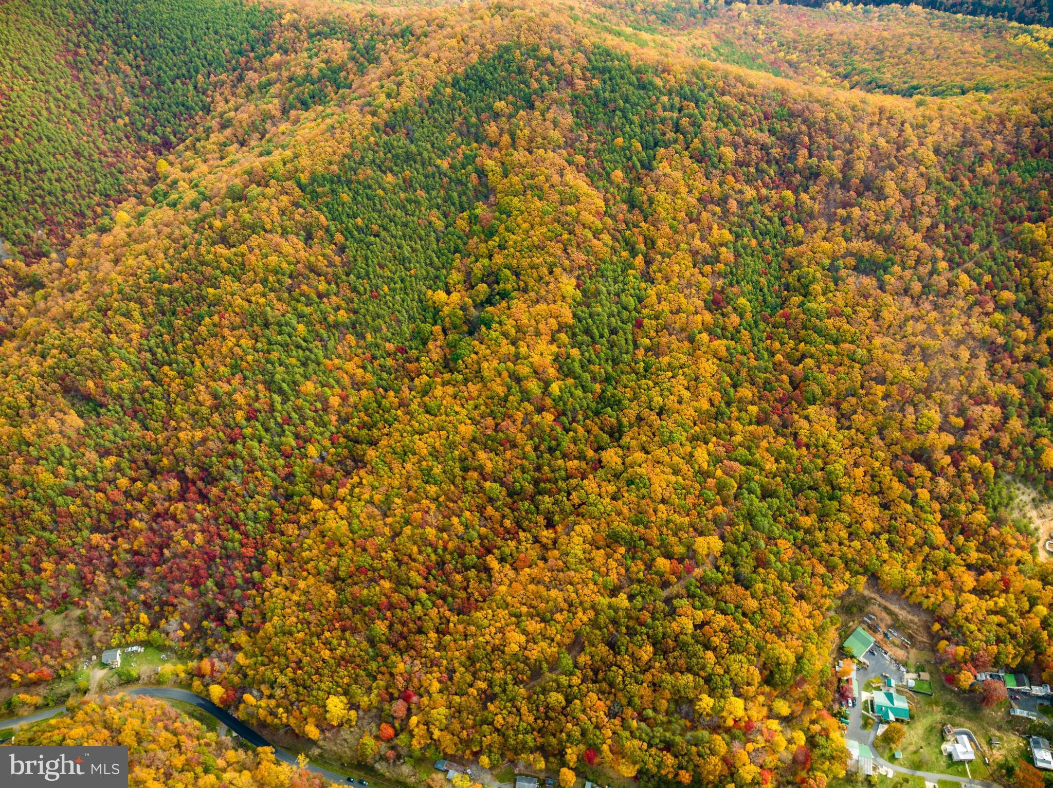 Lucas Hollow Road Stanley, VA 22851 - Photo 35 of 53 a view of a yard