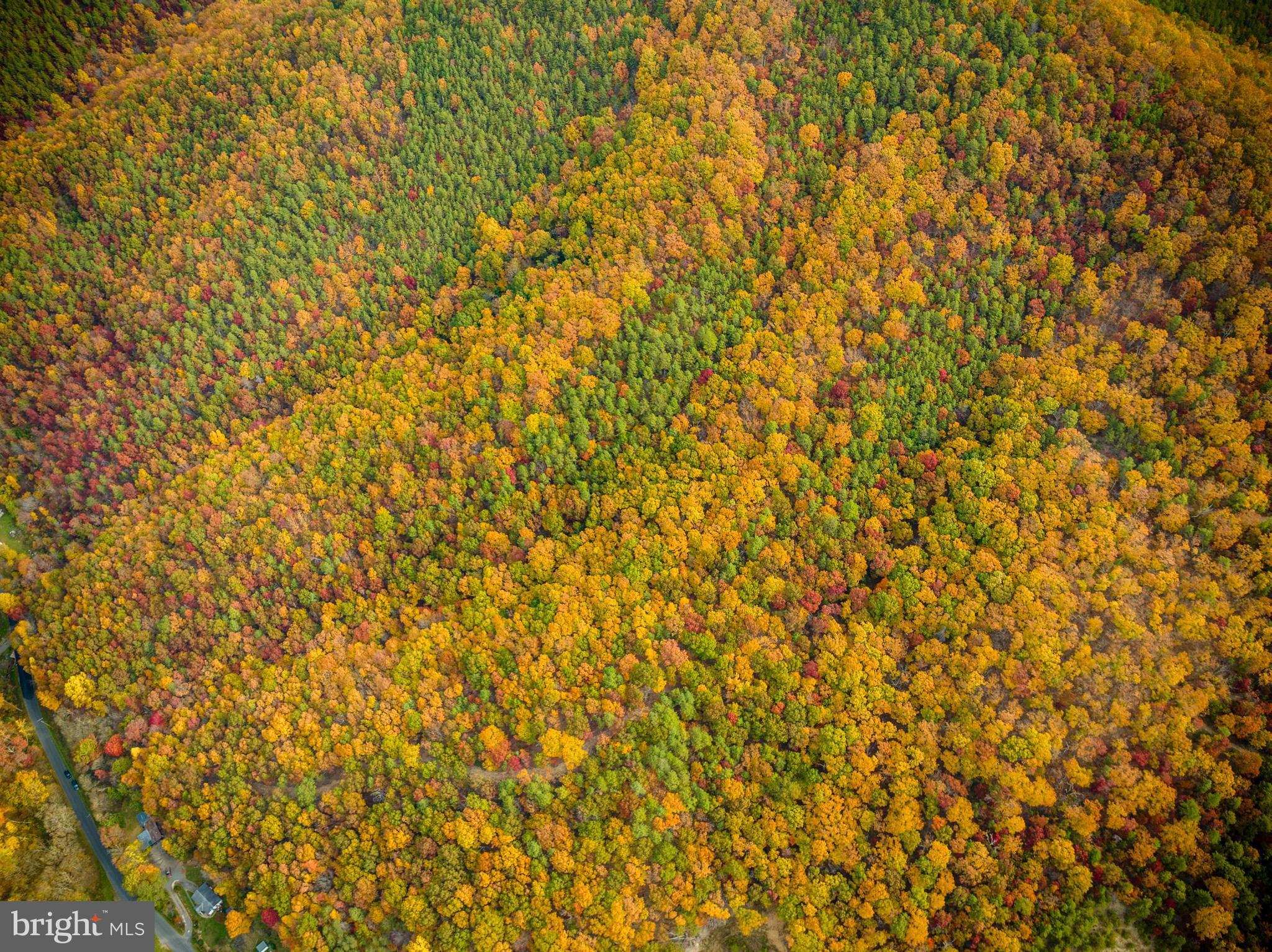 Lucas Hollow Road Stanley, VA 22851 - Photo 36 of 53 a close up of a wall
