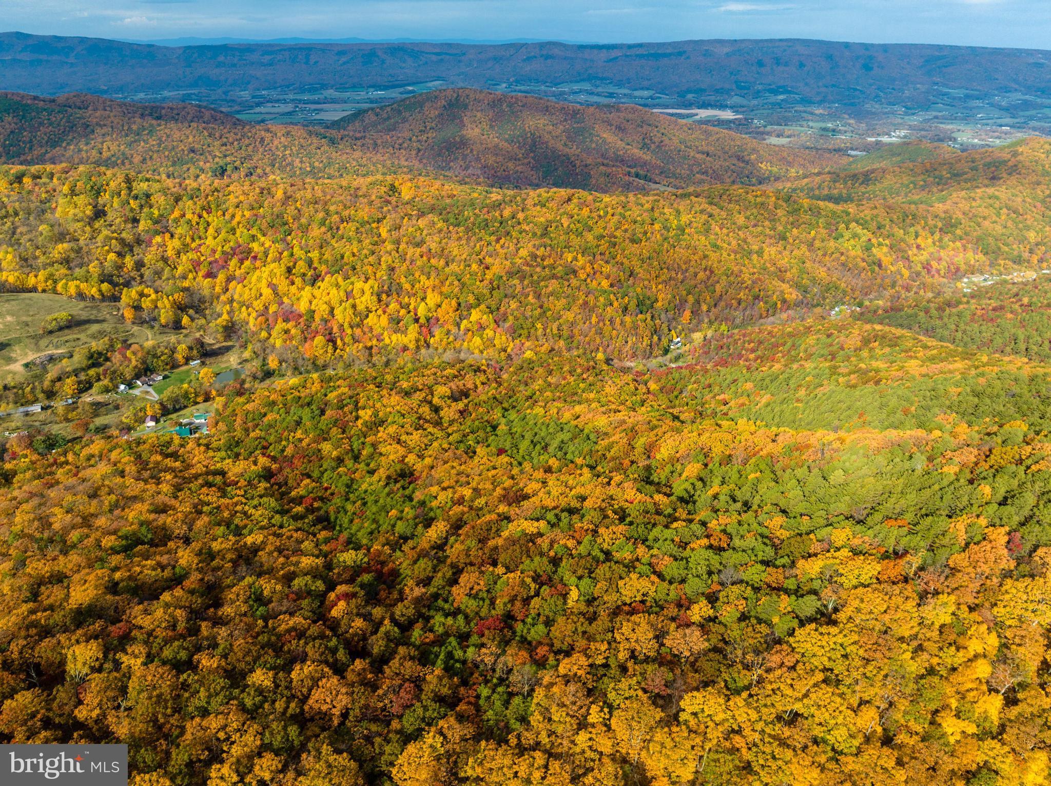 Lucas Hollow Road Stanley, VA 22851 - Photo 40 of 53 a view of a lake view