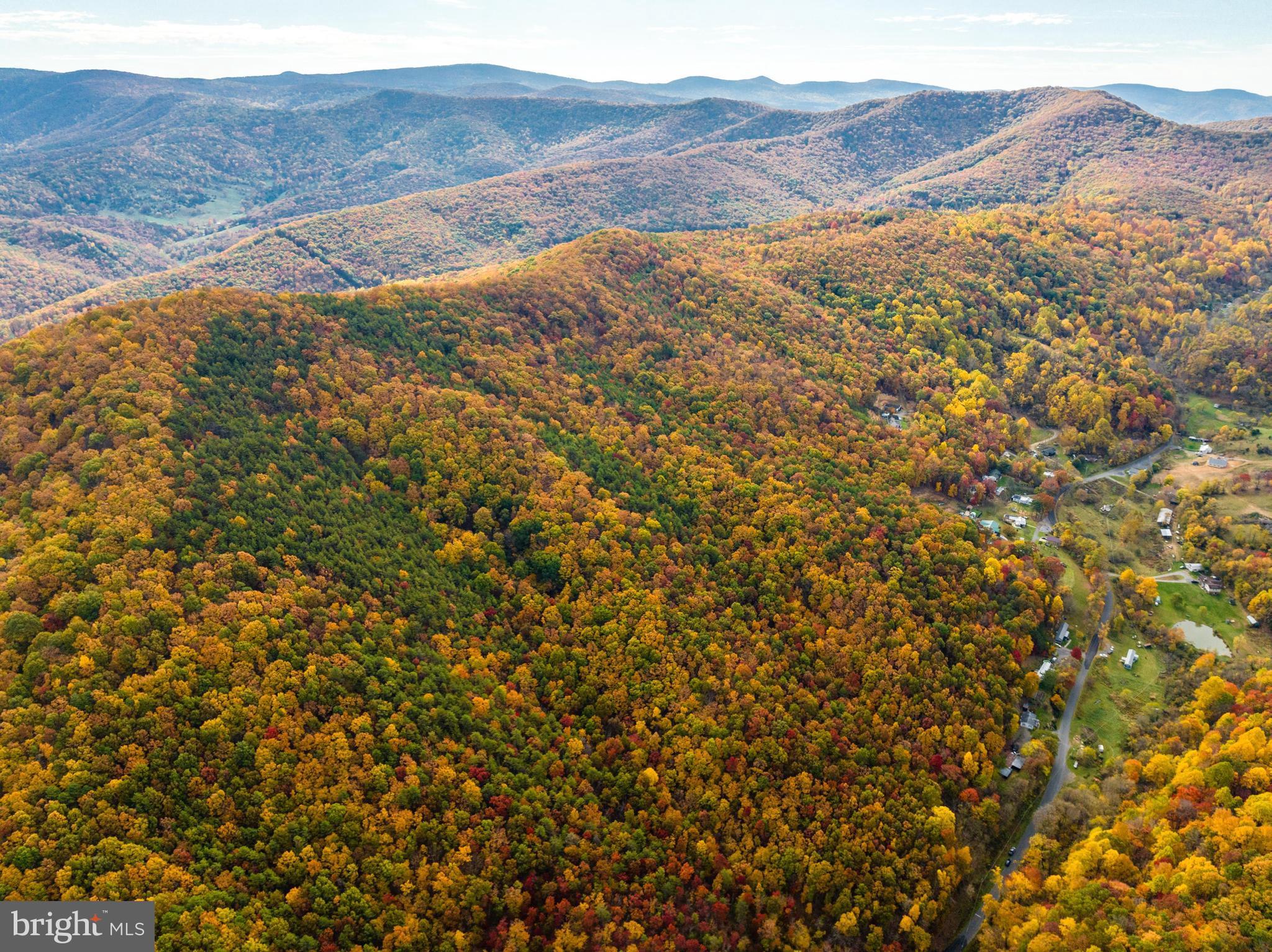 Lucas Hollow Road Stanley, VA 22851 - Photo 44 of 53