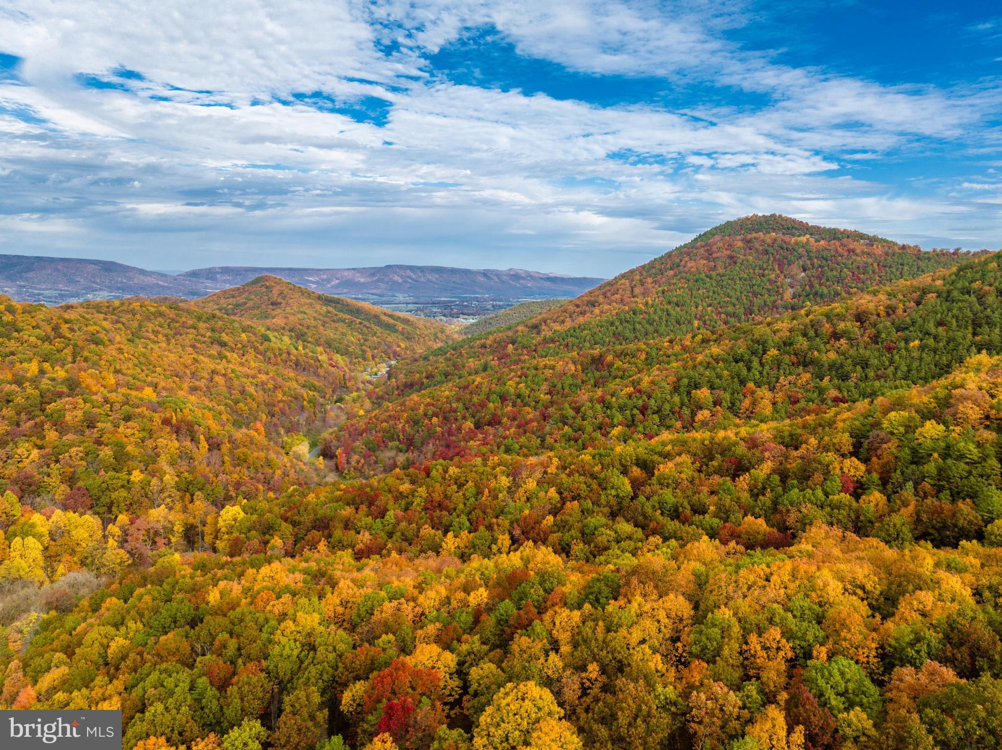 Lucas Hollow Road Stanley, VA 22851 - Photo 47 of 53 a view of mountain