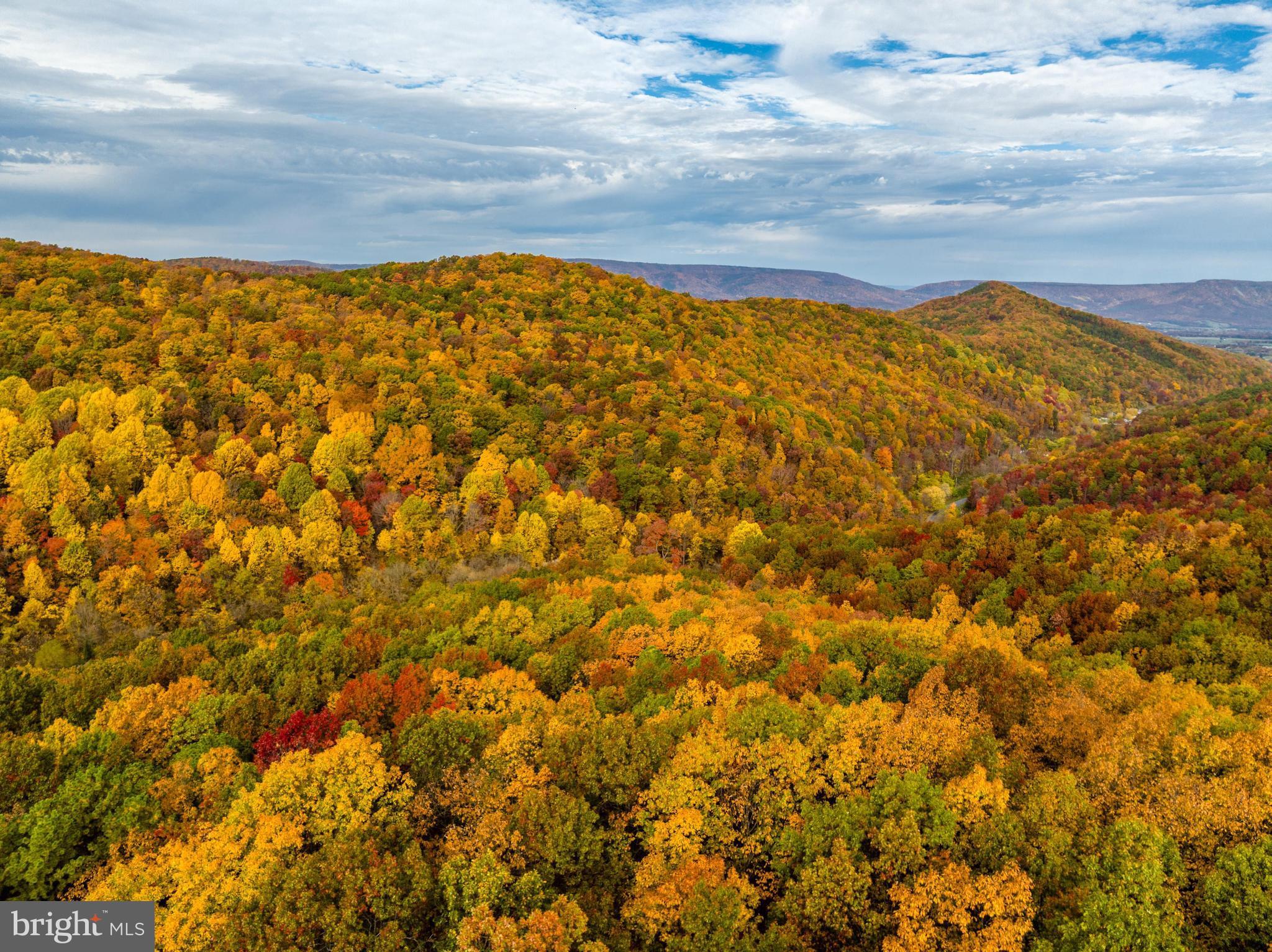 Lucas Hollow Road Stanley, VA 22851 - Photo 48 of 53