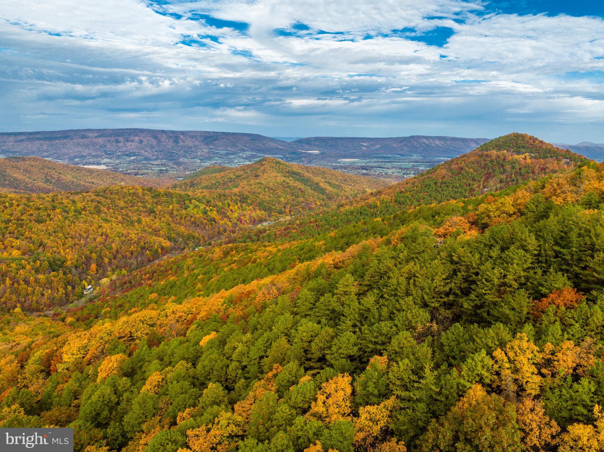 Lucas Hollow Road Stanley, VA 22851 - Photo 53 of 53