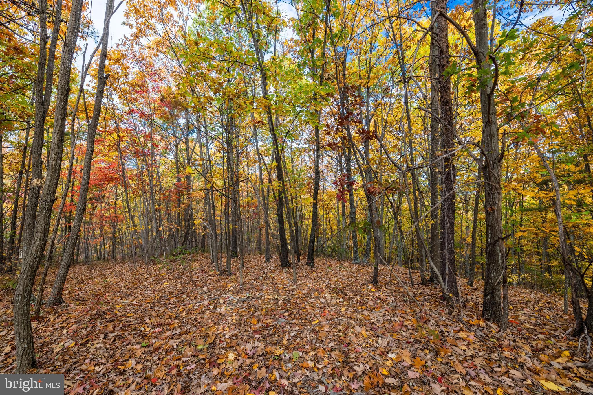 Lucas Hollow Road Stanley, VA 22851 - Photo 8 of 53 a view of wooden fence