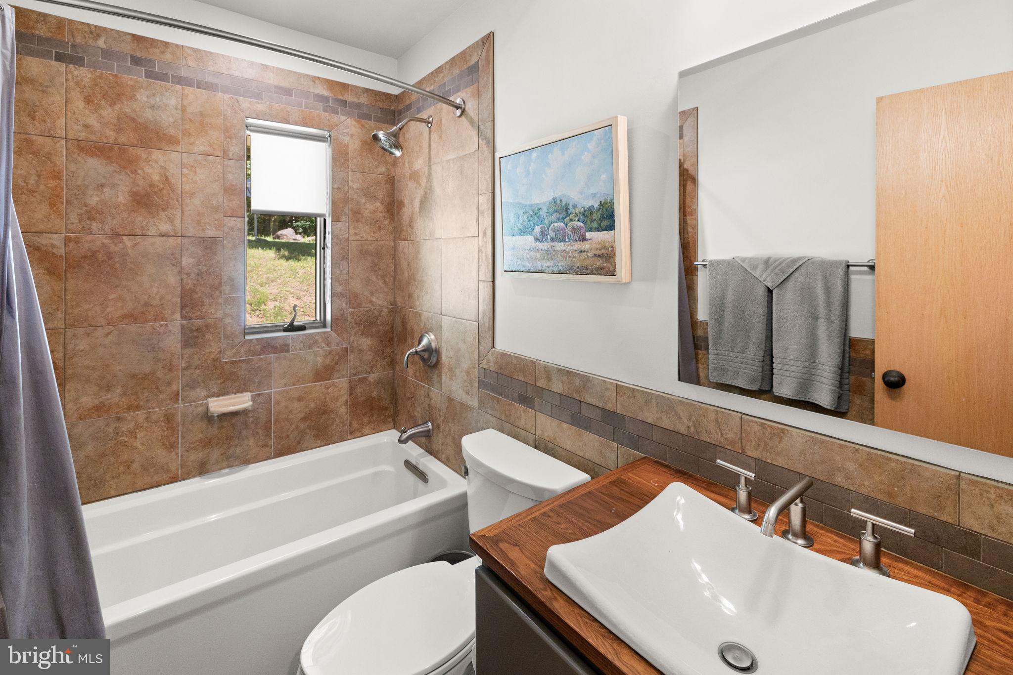 1319 Champe Plain Road Etlan, VA 22719 - Photo 37 of 63 Bathroom #2