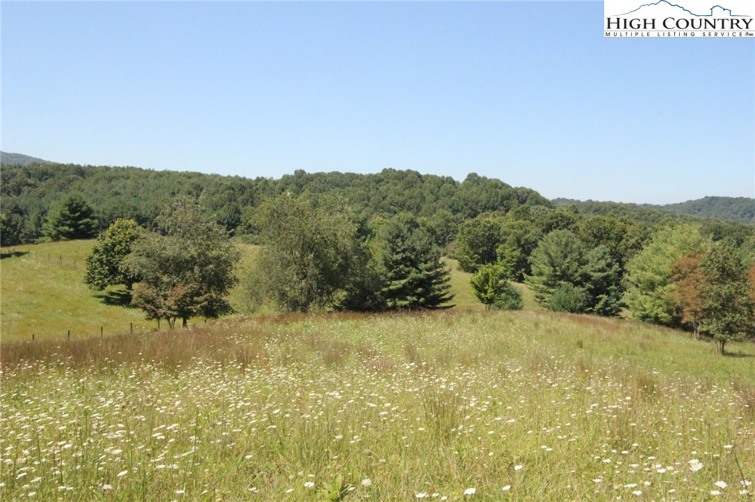 Sweetwater Road Elk Creek, VA 24326 - Photo 12 of 35 Gallery Image 12