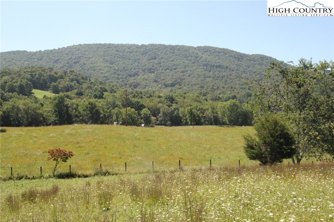 Sweetwater Road Elk Creek, VA 24326 - Photo 13 of 35 Gallery Image 13