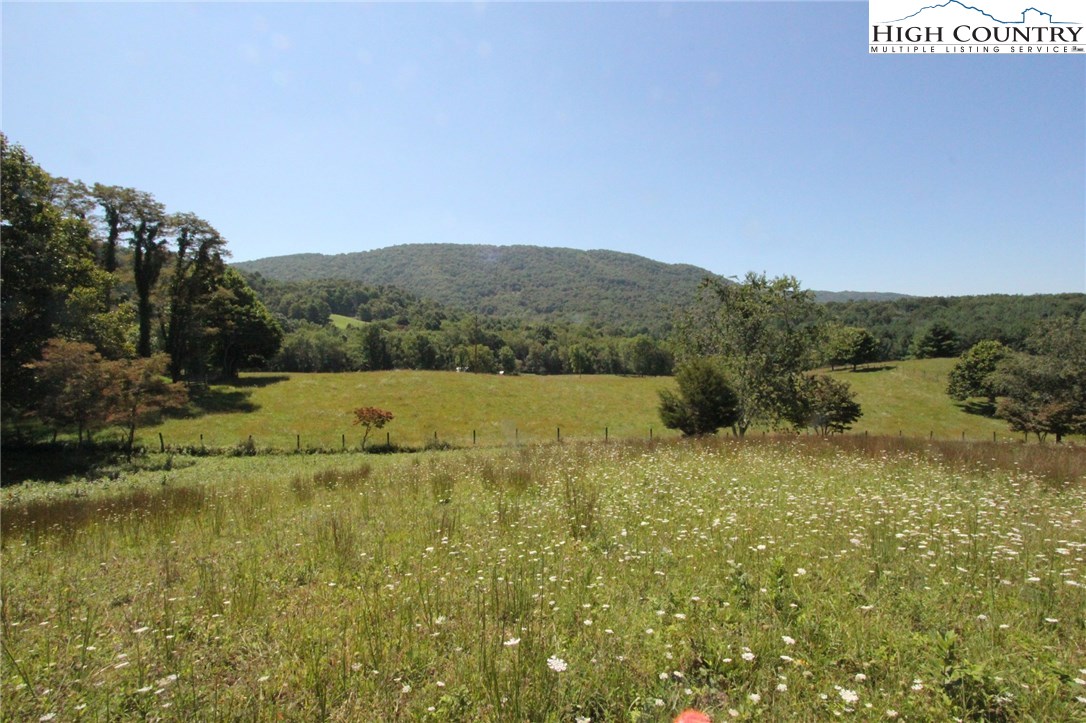 Sweetwater Road Elk Creek, VA 24326 - Photo 14 of 35 Gallery Image 14