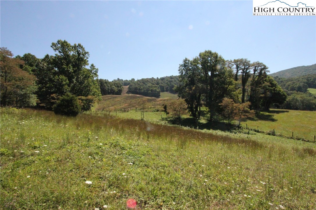 Sweetwater Road Elk Creek, VA 24326 - Photo 15 of 35 Gallery Image 15