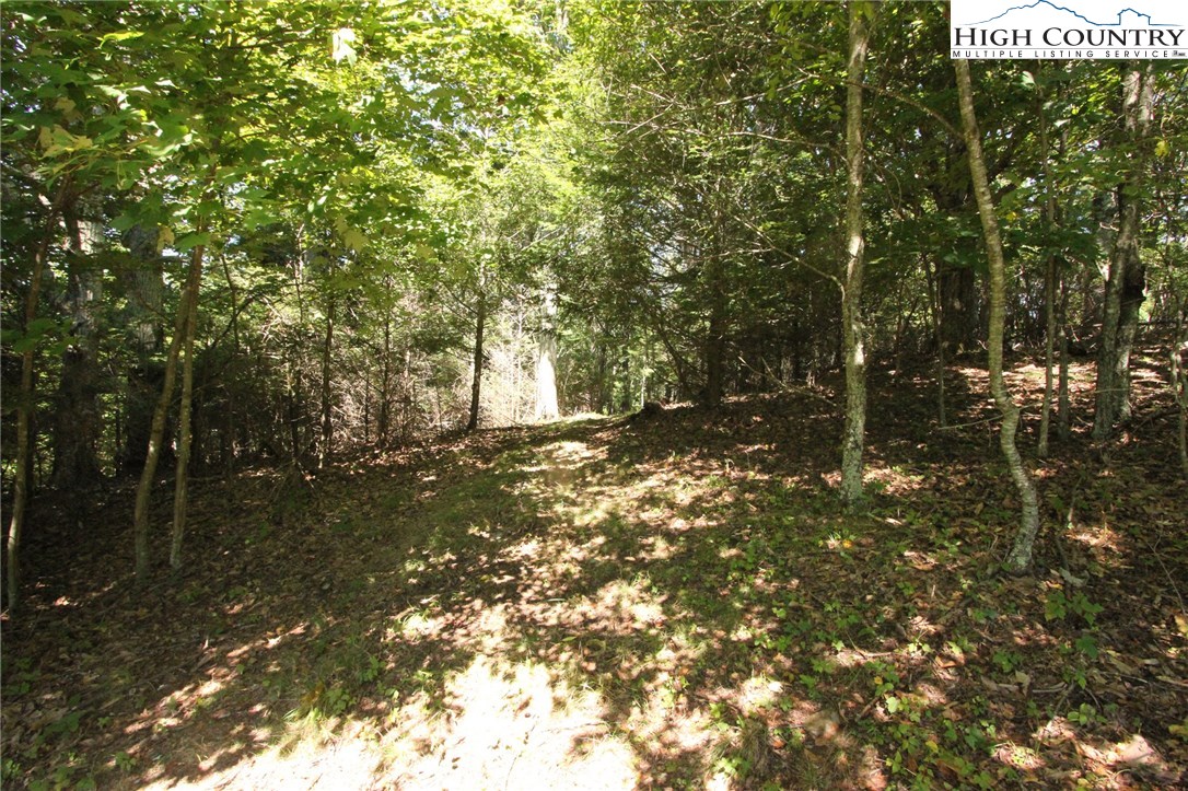 Sweetwater Road Elk Creek, VA 24326 - Photo 19 of 35 Gallery Image 19