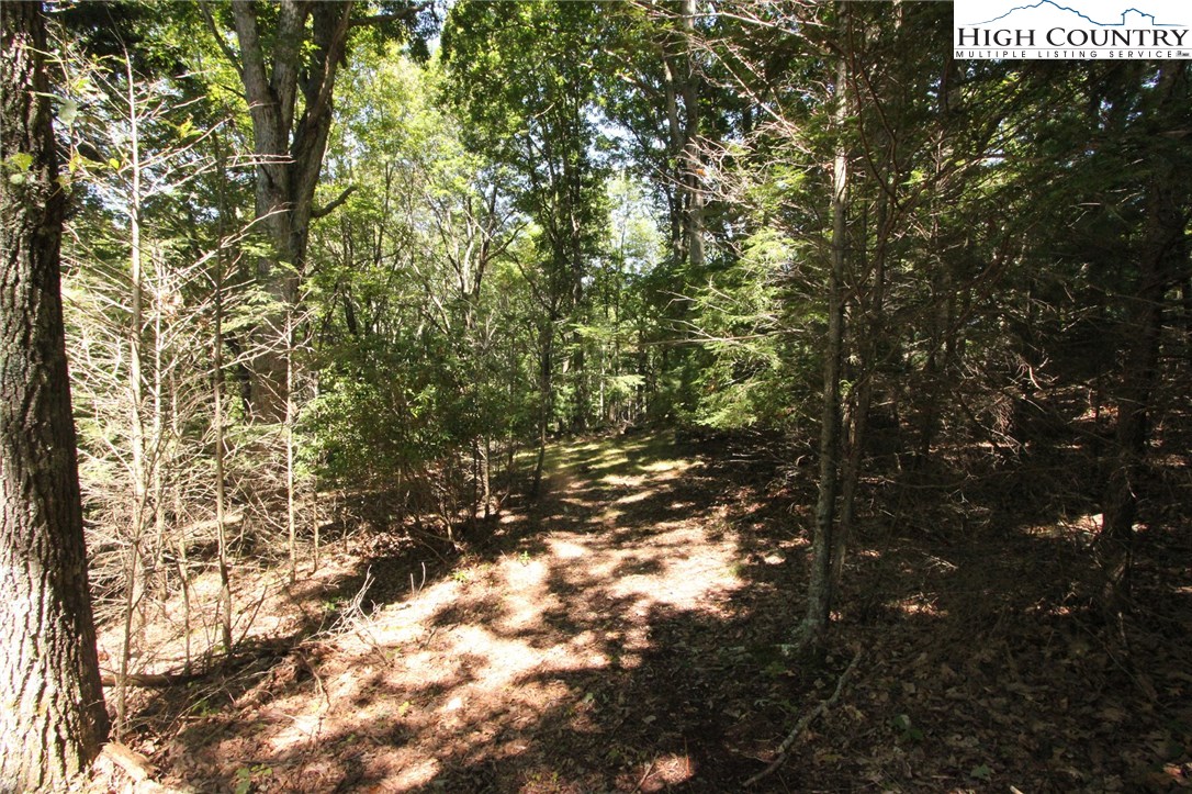 Sweetwater Road Elk Creek, VA 24326 - Photo 20 of 35 Gallery Image 20