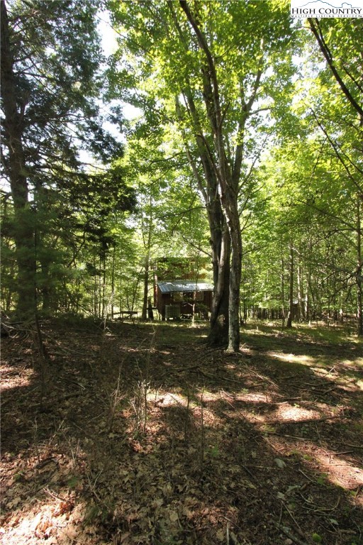 Sweetwater Road Elk Creek, VA 24326 - Photo 21 of 35 Gallery Image 21
