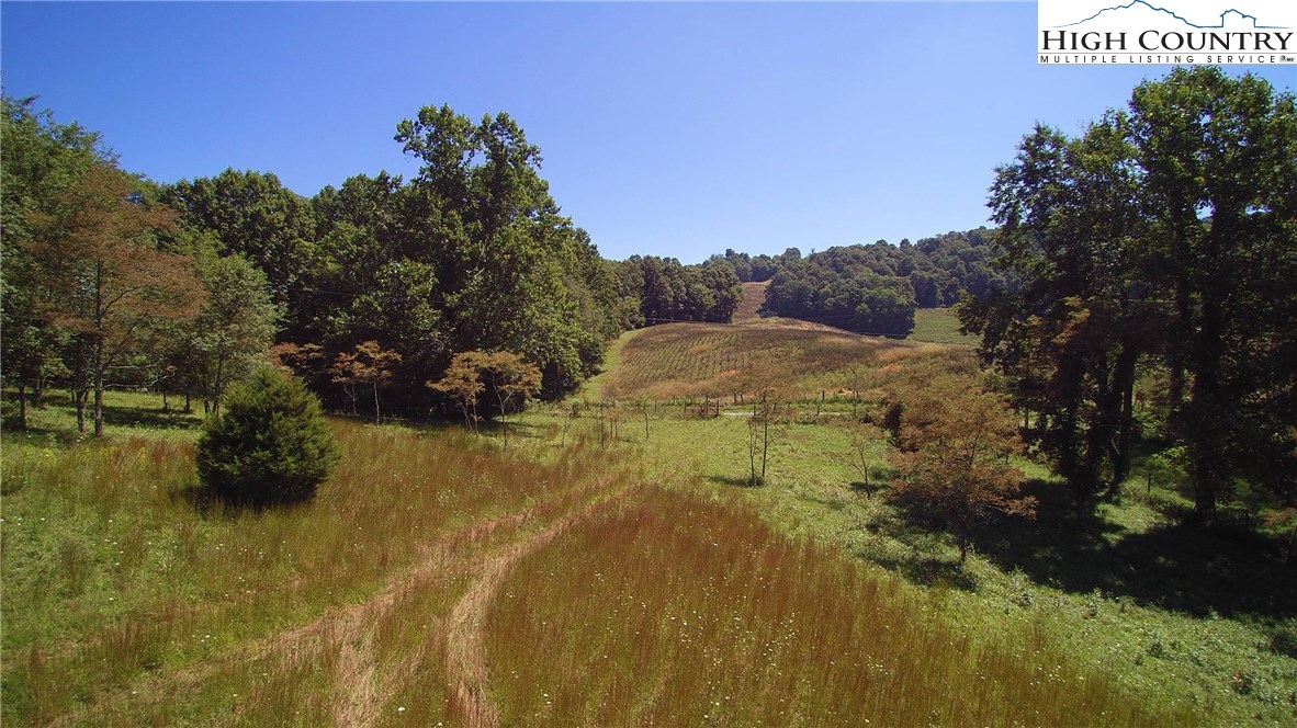 Sweetwater Road Elk Creek, VA 24326 - Photo 4 of 35 Gallery Image 4