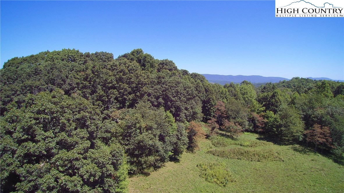 Sweetwater Road Elk Creek, VA 24326 - Photo 5 of 35 Gallery Image 5