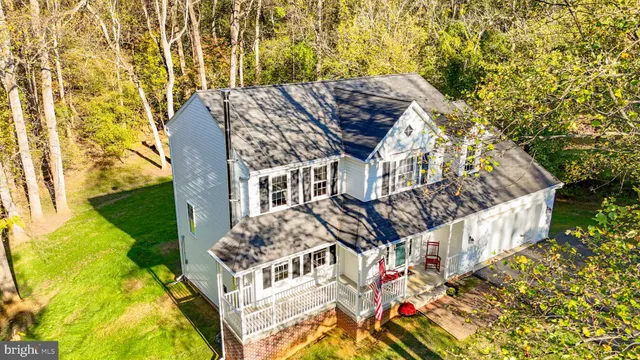 a close up of a plant