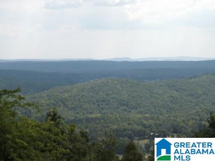 8455 Pine Mountain Road Springville, AL 35146 - Photo 1 of 39 Gallery Image 1