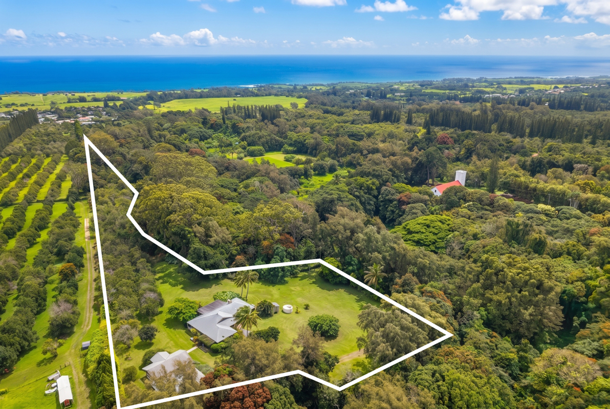 53-532 Iole Road Kapaau, HI 96755 - Photo 3 of 30 Gallery Image 3