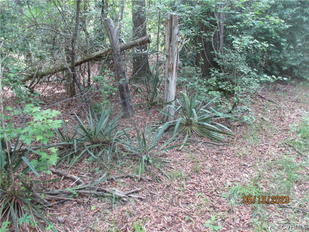 2409 Burgess Road Chester, VA 23836 - Photo 38 of 50 a view of a yard