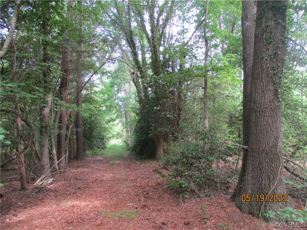 2409 Burgess Road Chester, VA 23836 - Photo 39 of 50 a view of a forest with trees in the background