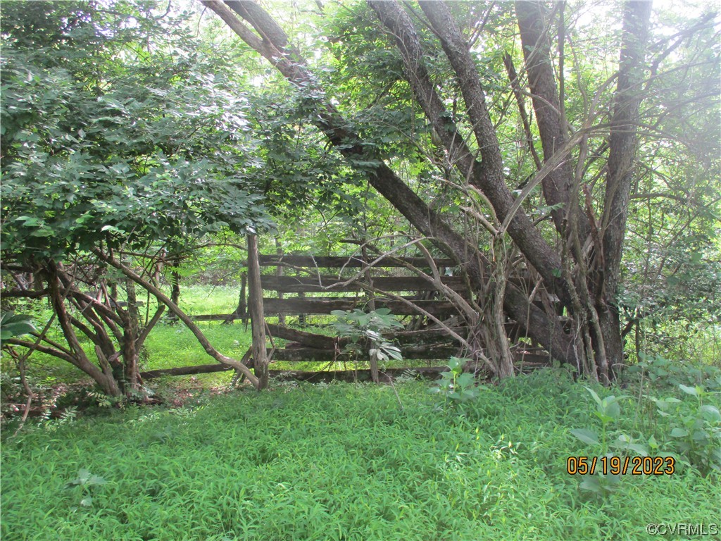 2409 Burgess Road Chester, VA 23836 - Photo 42 of 50 a view of backyard with a table and a large tree