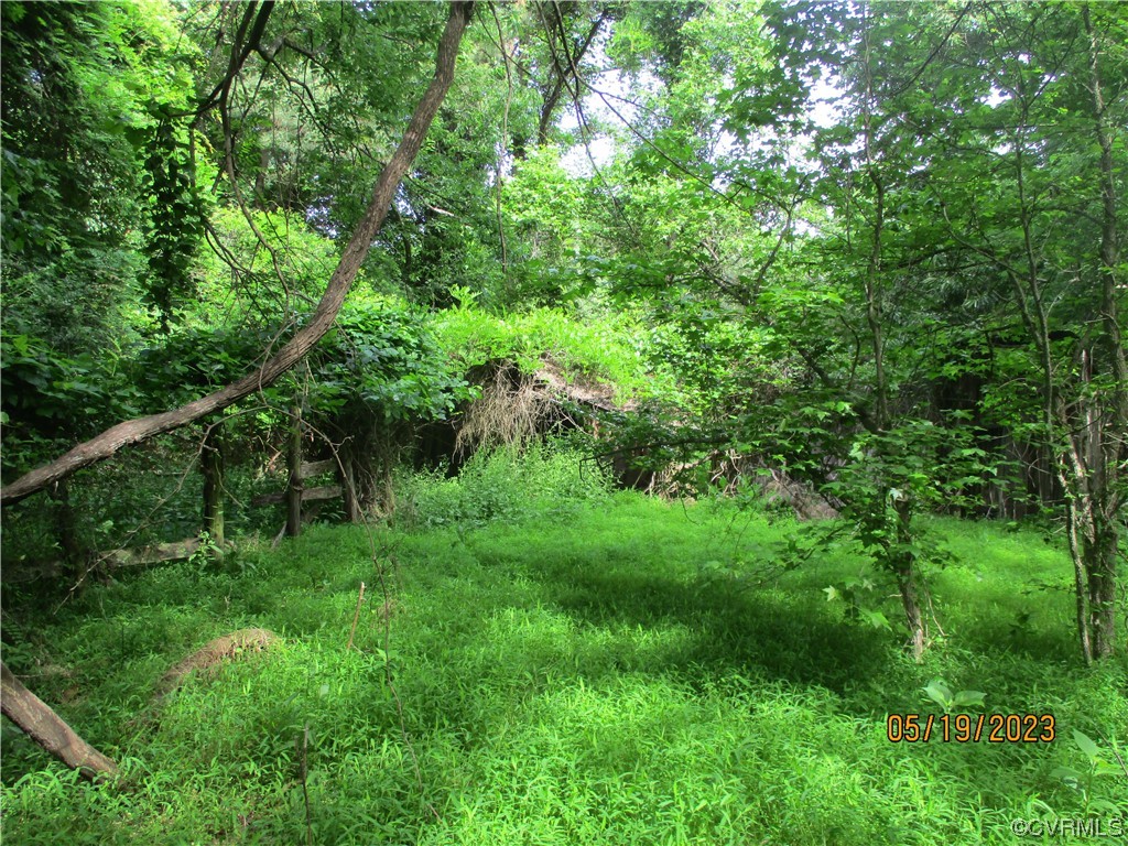 2409 Burgess Road Chester, VA 23836 - Photo 46 of 50 a view of a lush green space