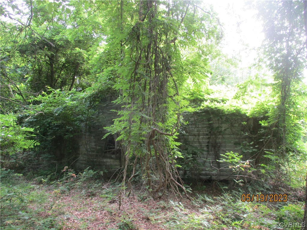 2409 Burgess Road Chester, VA 23836 - Photo 47 of 50 a view of a forest that has large trees