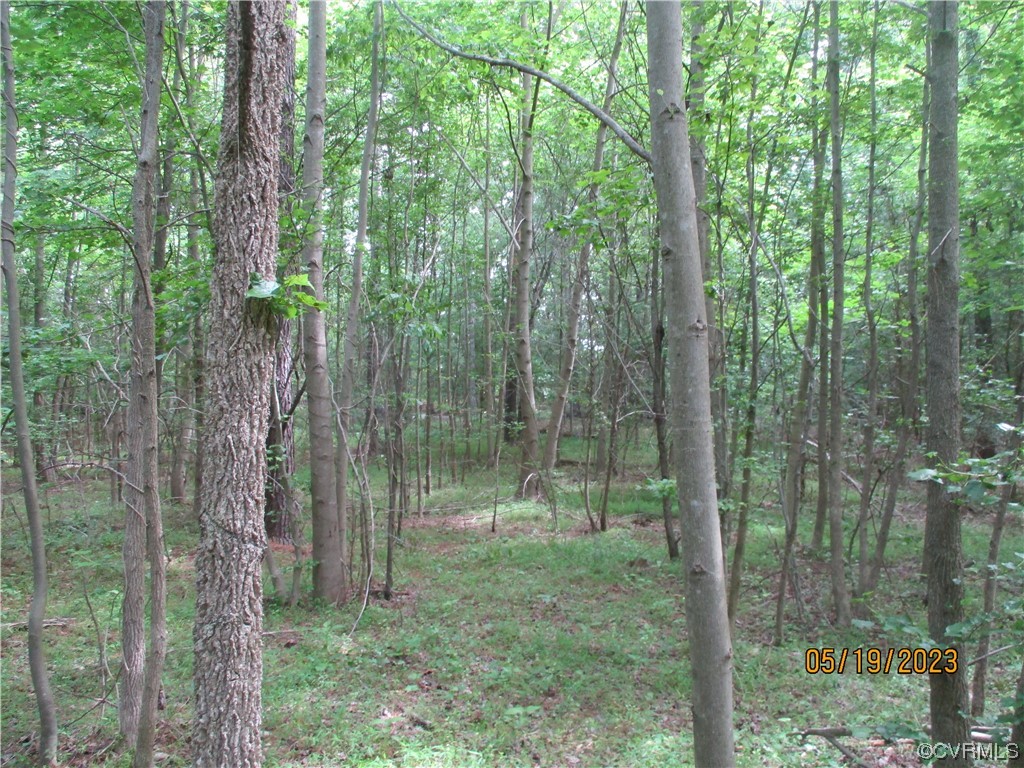 2409 Burgess Road Chester, VA 23836 - Photo 50 of 50 a view of a forest
