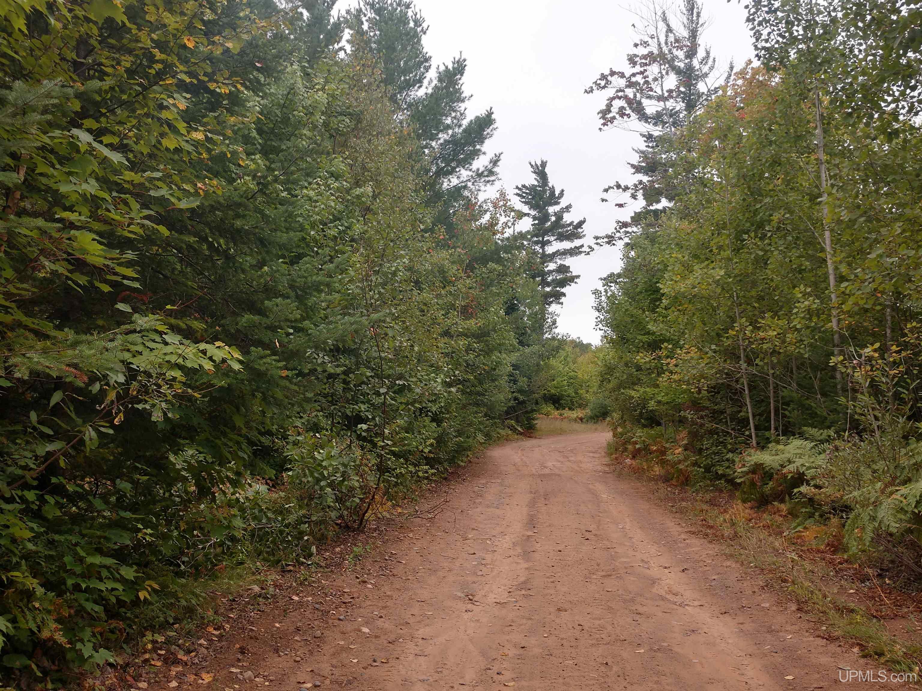 80-acres Grant Lake Road Republic, MI 49879 - Photo 12 of 17 Gallery Image 12