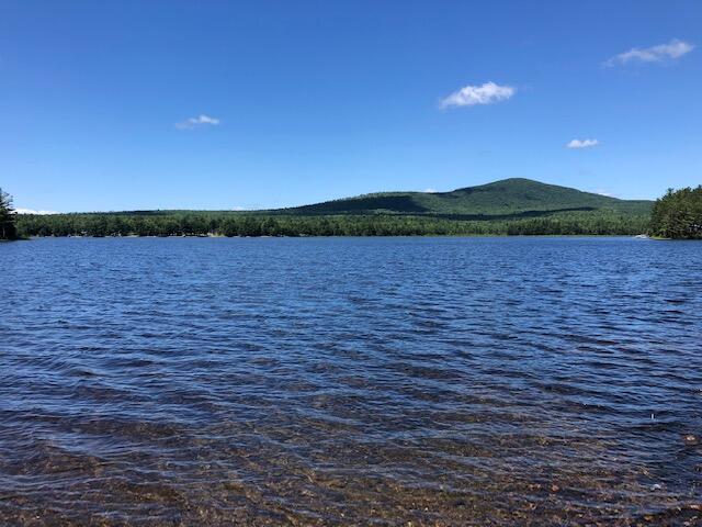 631 Ebeemee Lake Road Brownville, ME 04414 - Photo 4 of 21 Cogar 16