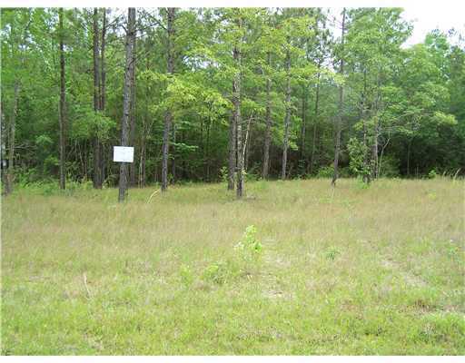 Lot 22 Lot Road McHenry, MS 39561 - Photo 1 of 7 Primary Photo
